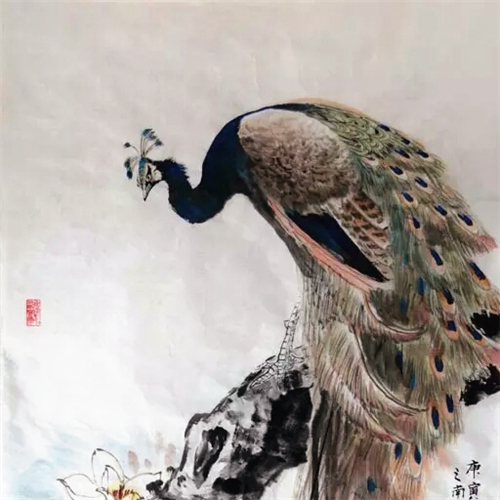 凝视