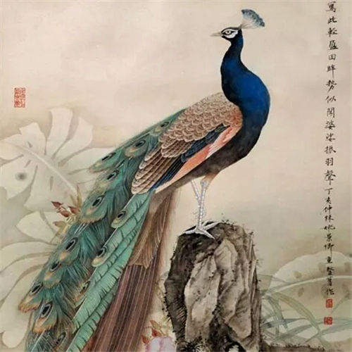 轻盈回眸