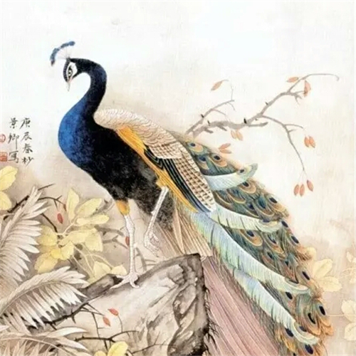 孔雀